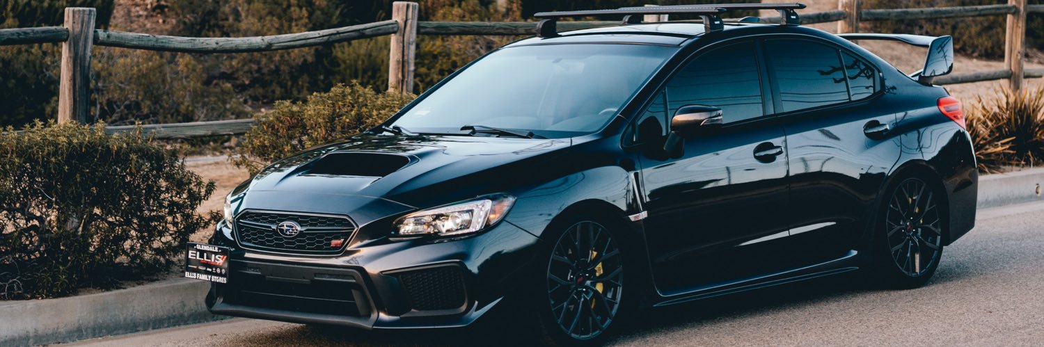 looney🦇 banner