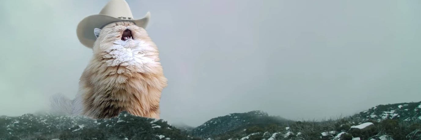 EgregiousFilbin banner