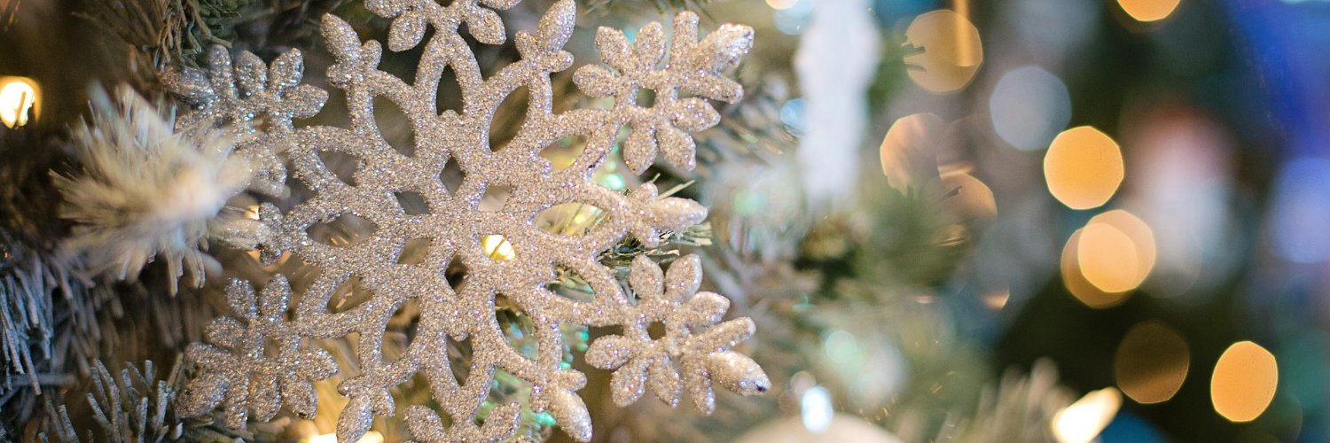 Snow_Is_Great's profile banner image