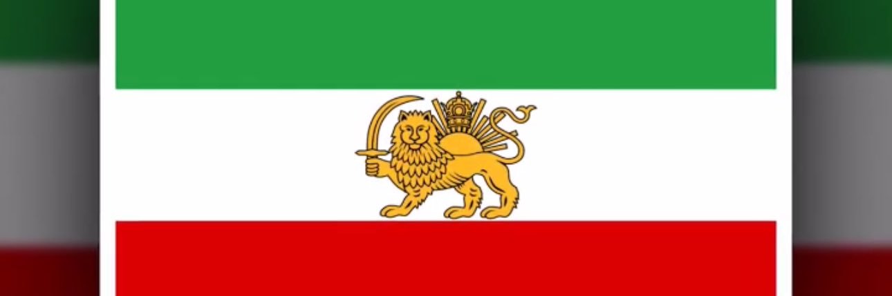 Shabnam Momenimogouei's banner