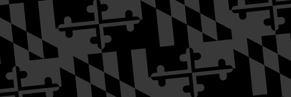 UMBCPhysics Profile Banner