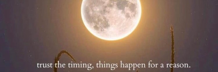 dalenvillena24's profile banner image