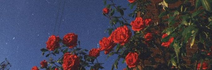 gohaechvn's profile banner image