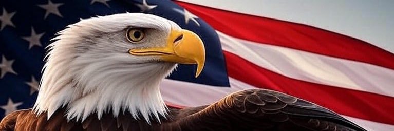 Got Plant Meat banner