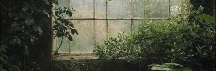 L'Àgora de la Terra banner