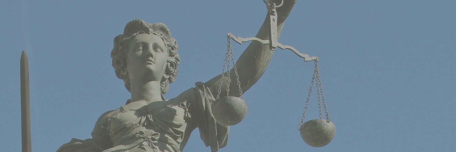 Strategic Litigation Project banner