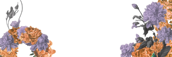 timidtiefling Profile Banner