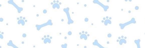 ☆ areli ! ☆ banner