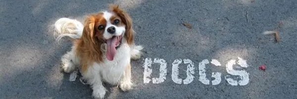 uraniumbrain Profile Banner