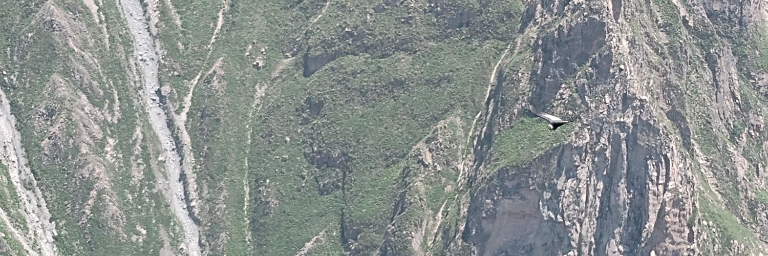 Caraxes_RG's profile banner image
