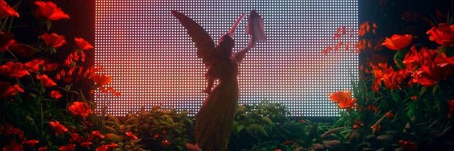 Cнυcκ Bαss ❸🧌 banner