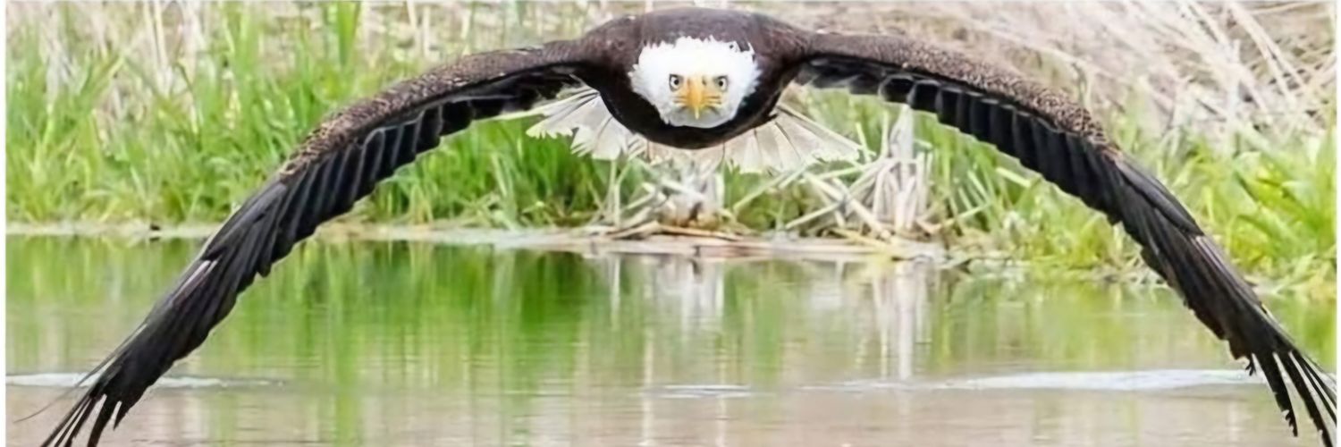 Coach Rhys Williams, MCE banner