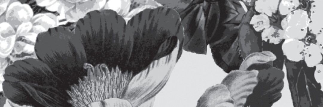 Andiosr's profile banner image