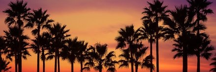 DeenaH56926's profile banner image