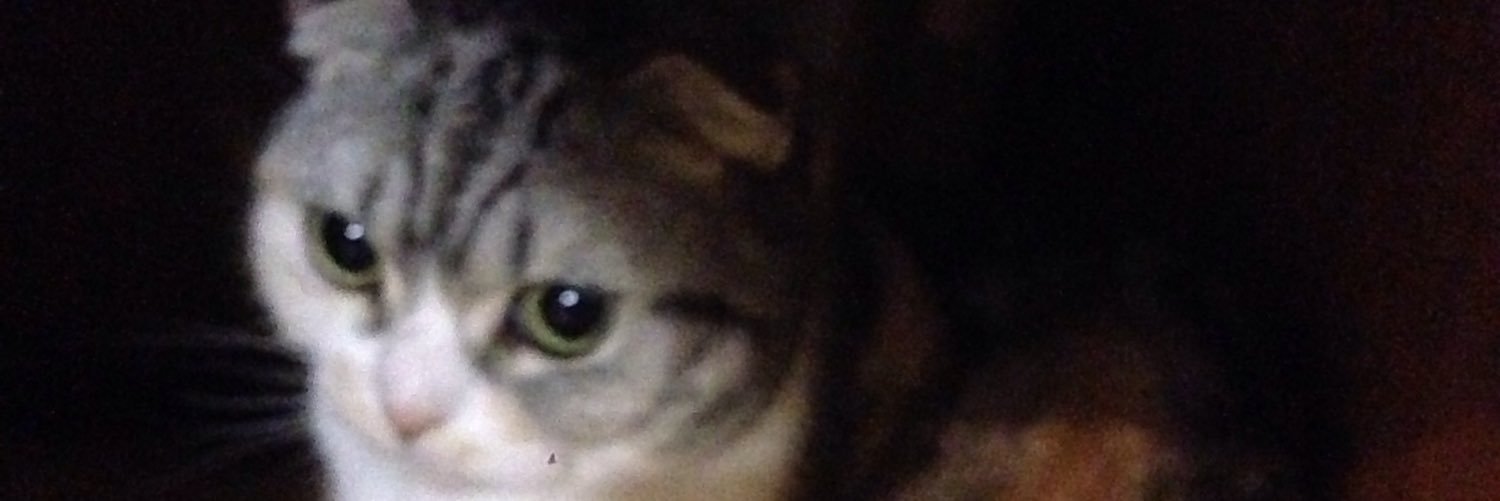 1uez11's profile banner image