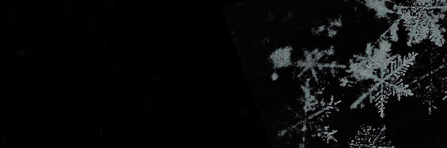 ‍ ‍ ‍ ❅ ‍ 𝒊𝒄𝒆 𝒄𝒐𝒍𝒅 . banner