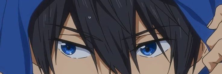 zooeric banner