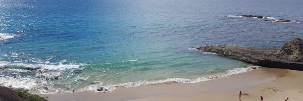 rascal113646 Profile Banner