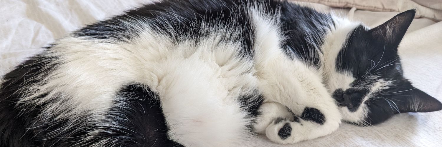 SleepyFreli's profile banner image