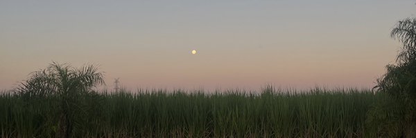gissellekuri Profile Banner