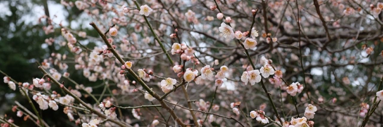 yuninurhida's profile banner image