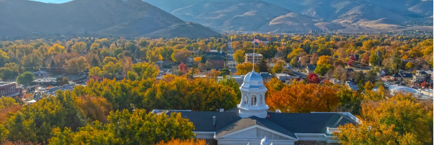Governor's Technology Office, Nevada banner
