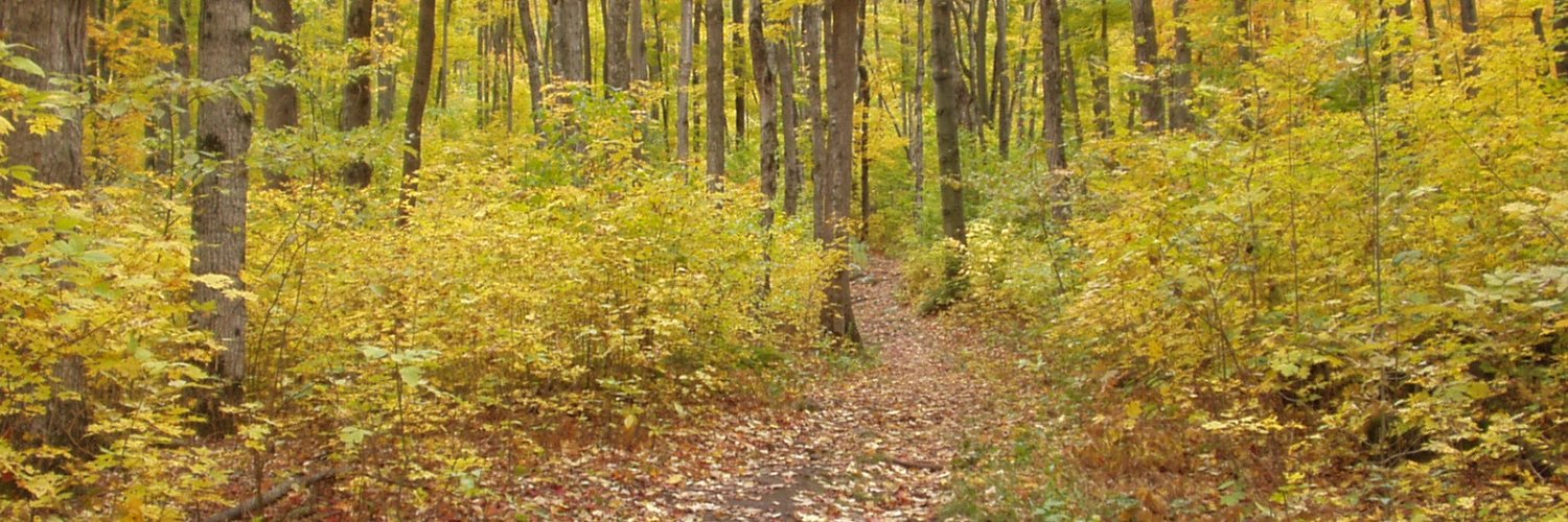 Sharty McWaffles 🇨🇦 banner