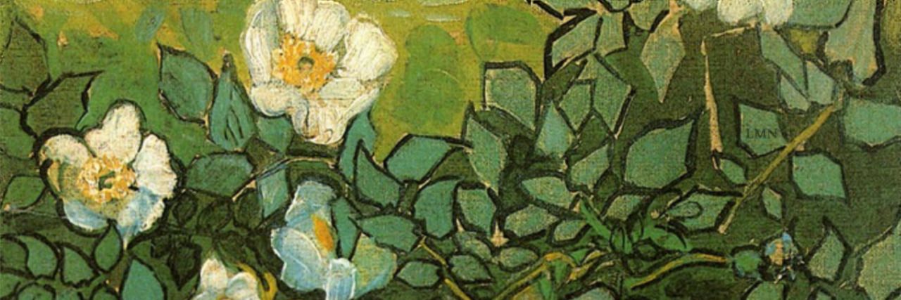 River✨️✨️✨️ banner