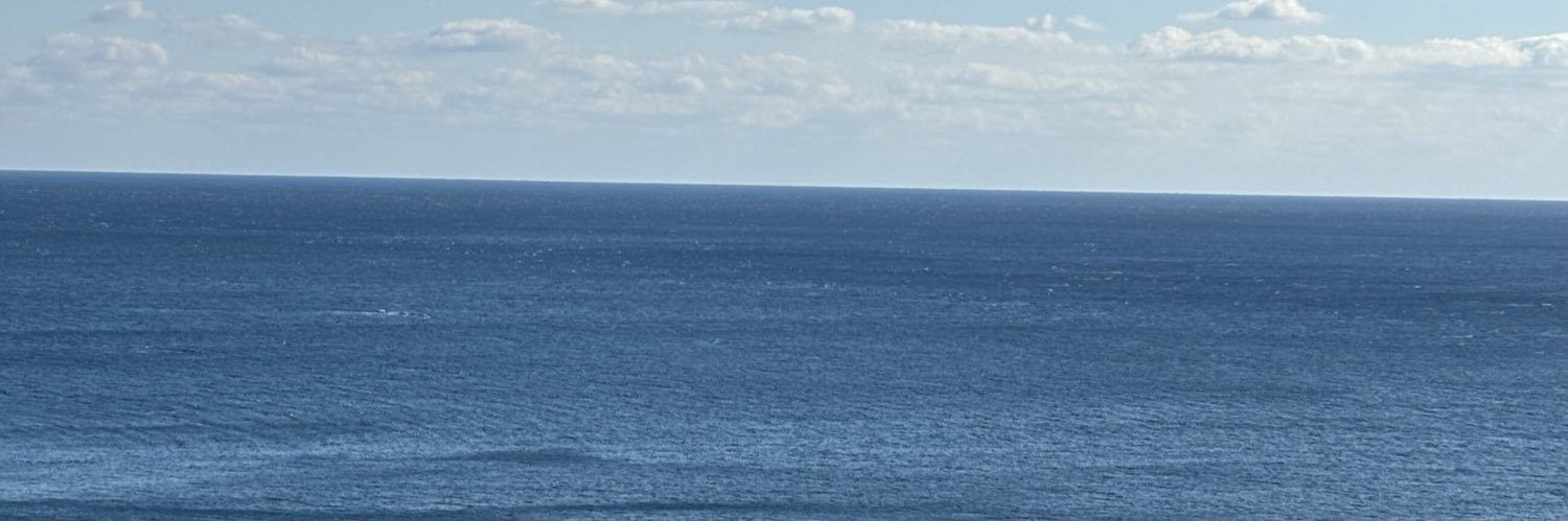 むーちゃん banner