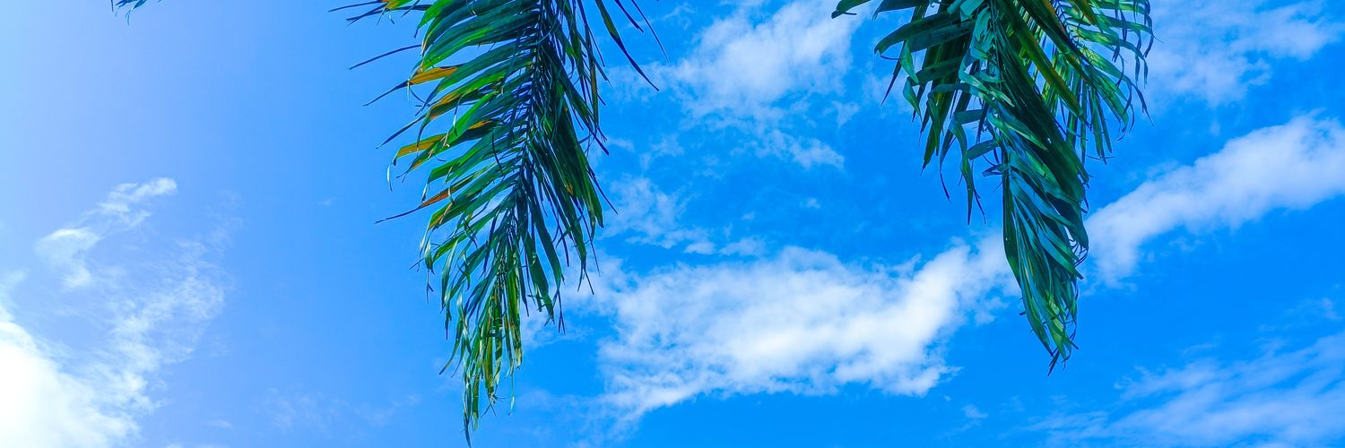 _paparoni's profile banner image