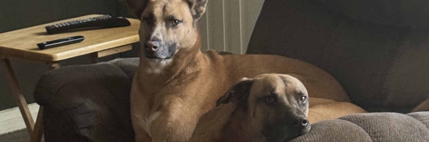 1frank2thomas3's profile banner image