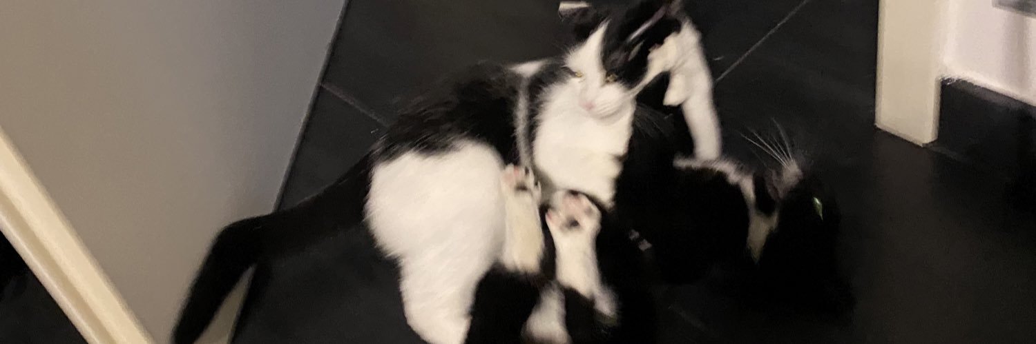 Josephinepsdz's profile banner image