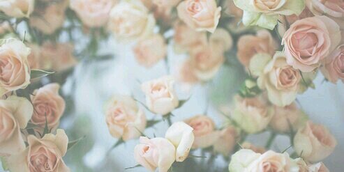 pssnaeun's profile banner image