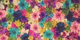 whyalejandra's profile banner image