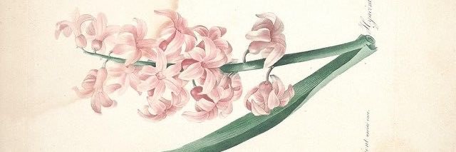 Abigail Winfield banner