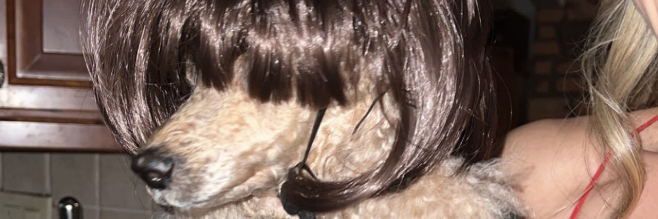 _maria_vas's profile banner image