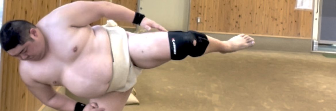 ハム輔@肉戦型ハム banner