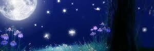 devotees_tgr's profile banner image