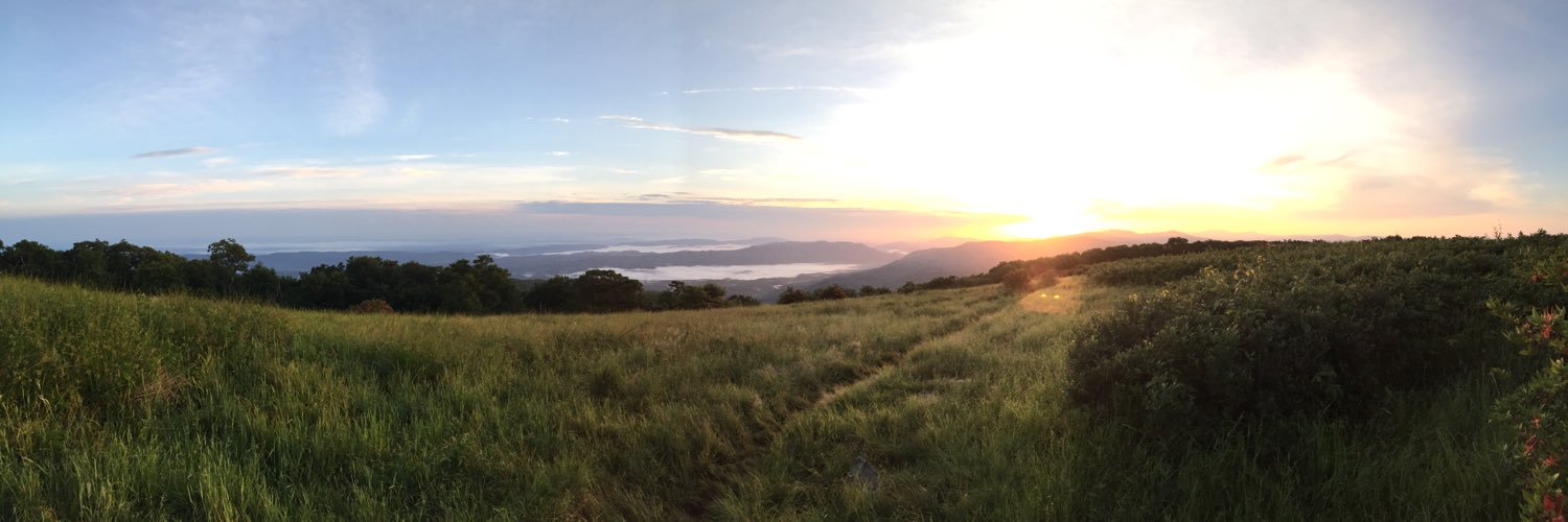 Cmurphy_nams's profile banner image