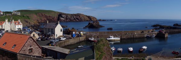 RunDoggy Profile Banner