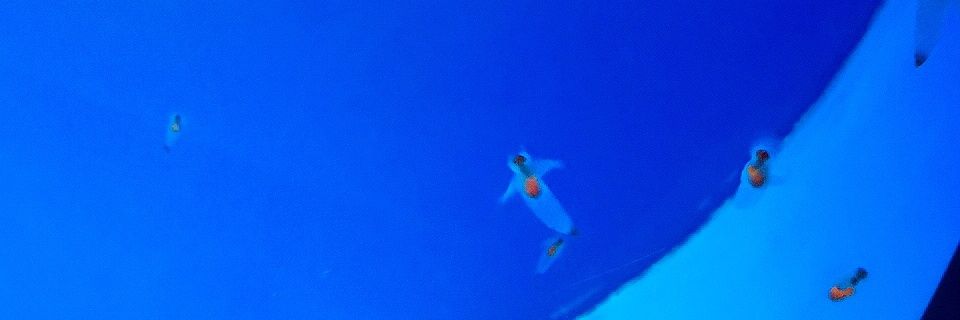 tmrstrm's profile banner image