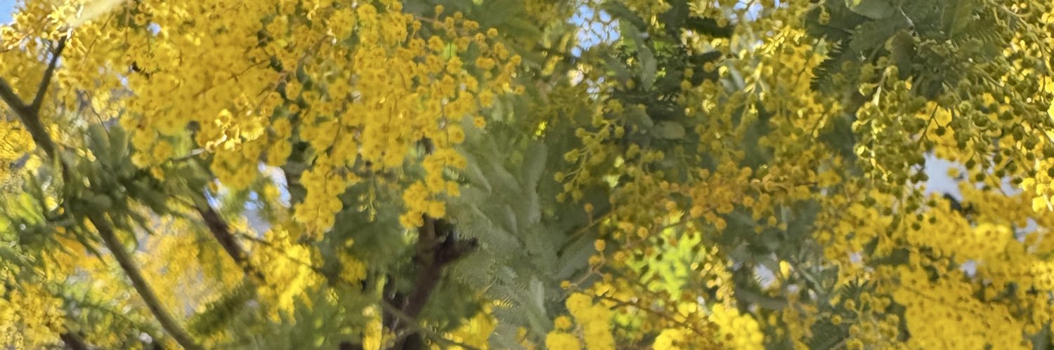 カル子@R7中小企業診断士受験 banner