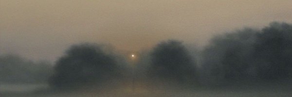 mystudy_log__ Profile Banner