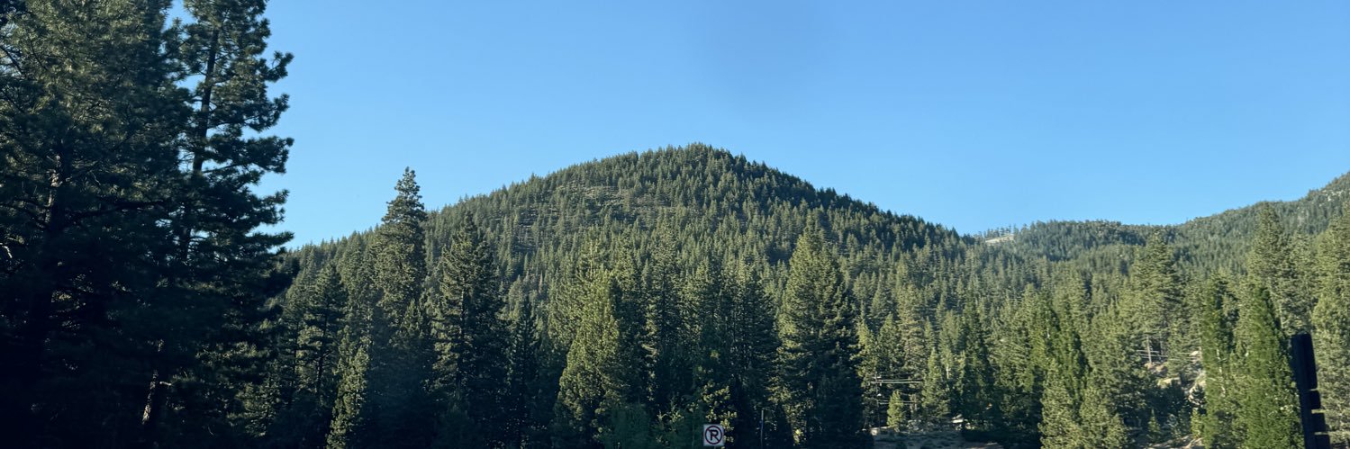 ThirdEye's banner