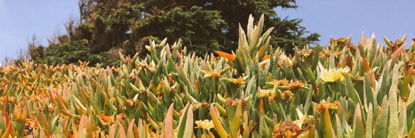 literallymeirl Profile Banner