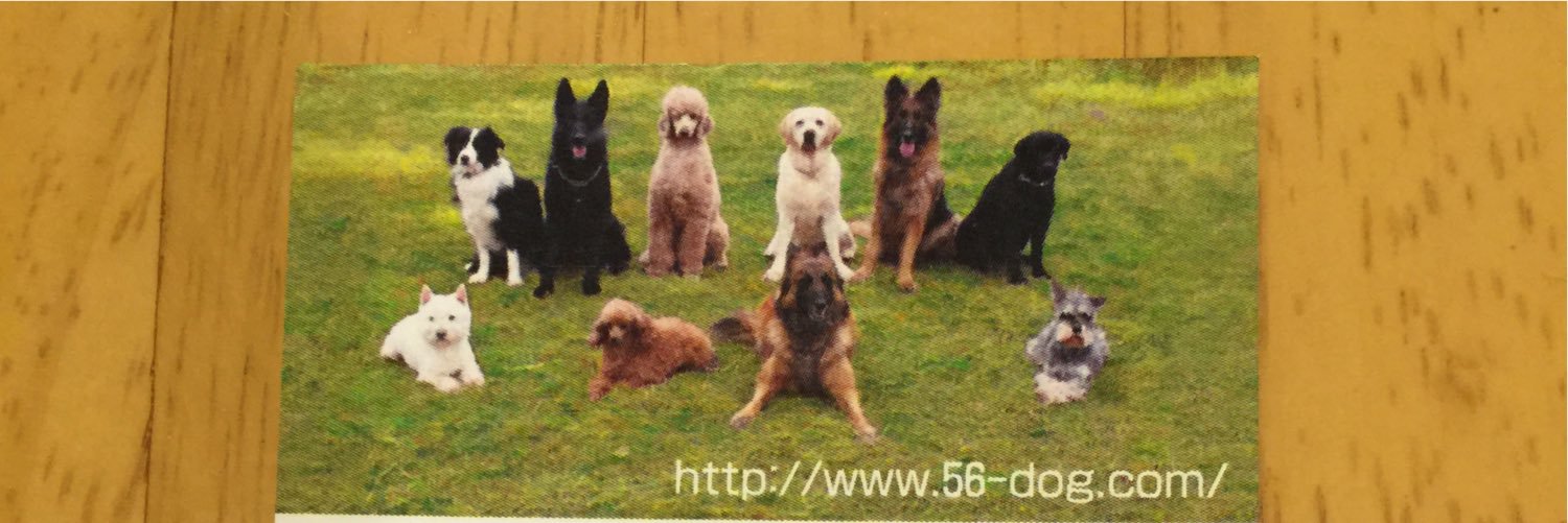 33dog_staff's profile banner image