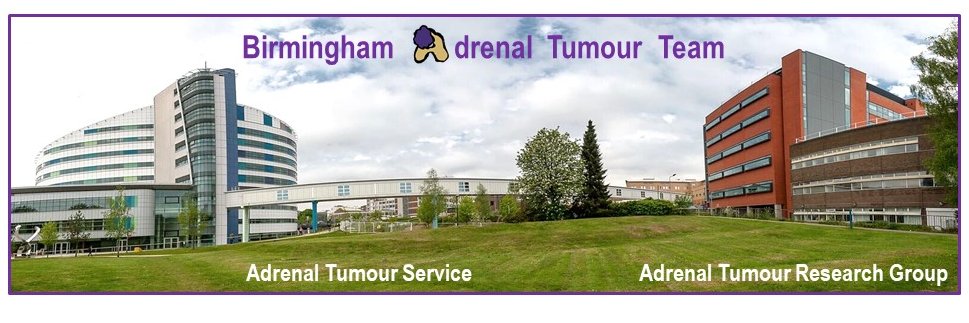 Birmingham Adrenal Team's banner