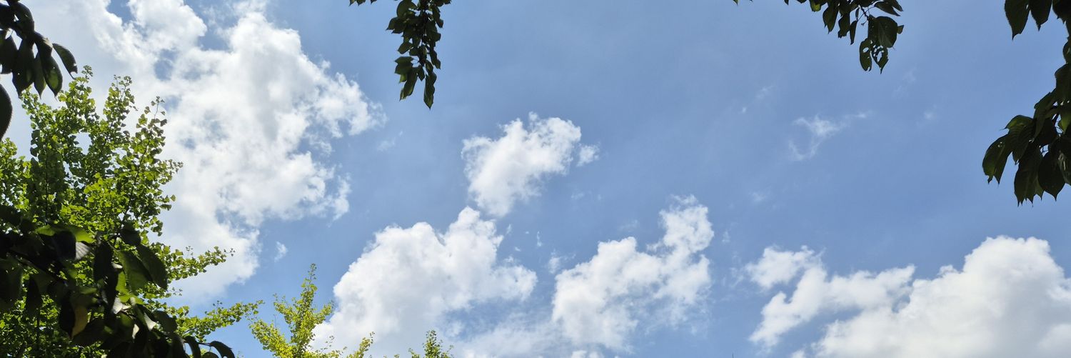 dan_puppy_'s profile banner image