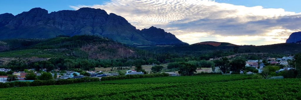 Neil Ellis Wines banner