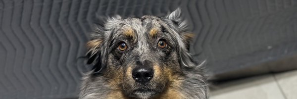 PremierNasir904 Profile Banner